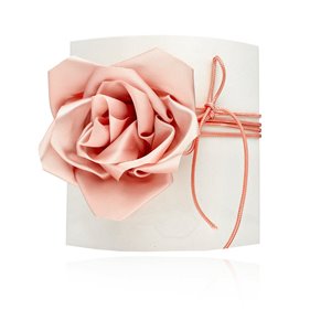 Obrazek Choker LA ROSA N97705