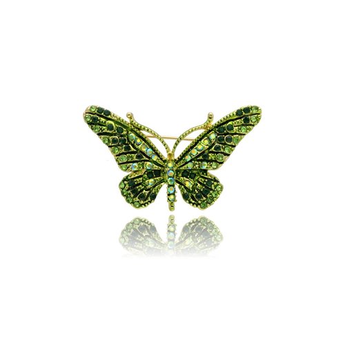 Obrazek Broszka BR97489